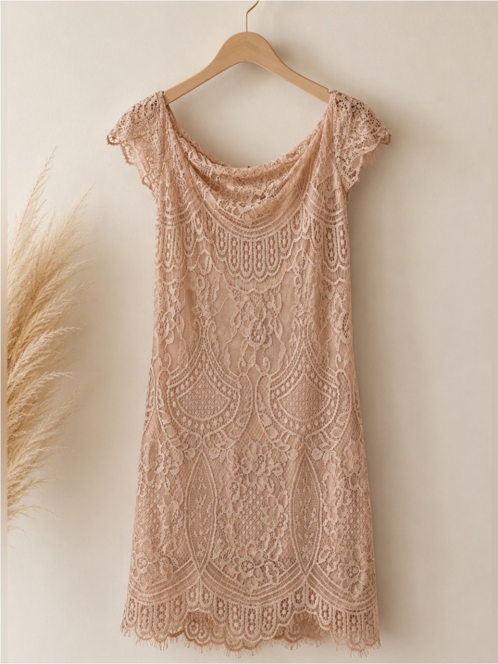 Vintage Off-Shoulder
Blush Lace Bodycon
Cocktail Romantic
Coquette Dress
